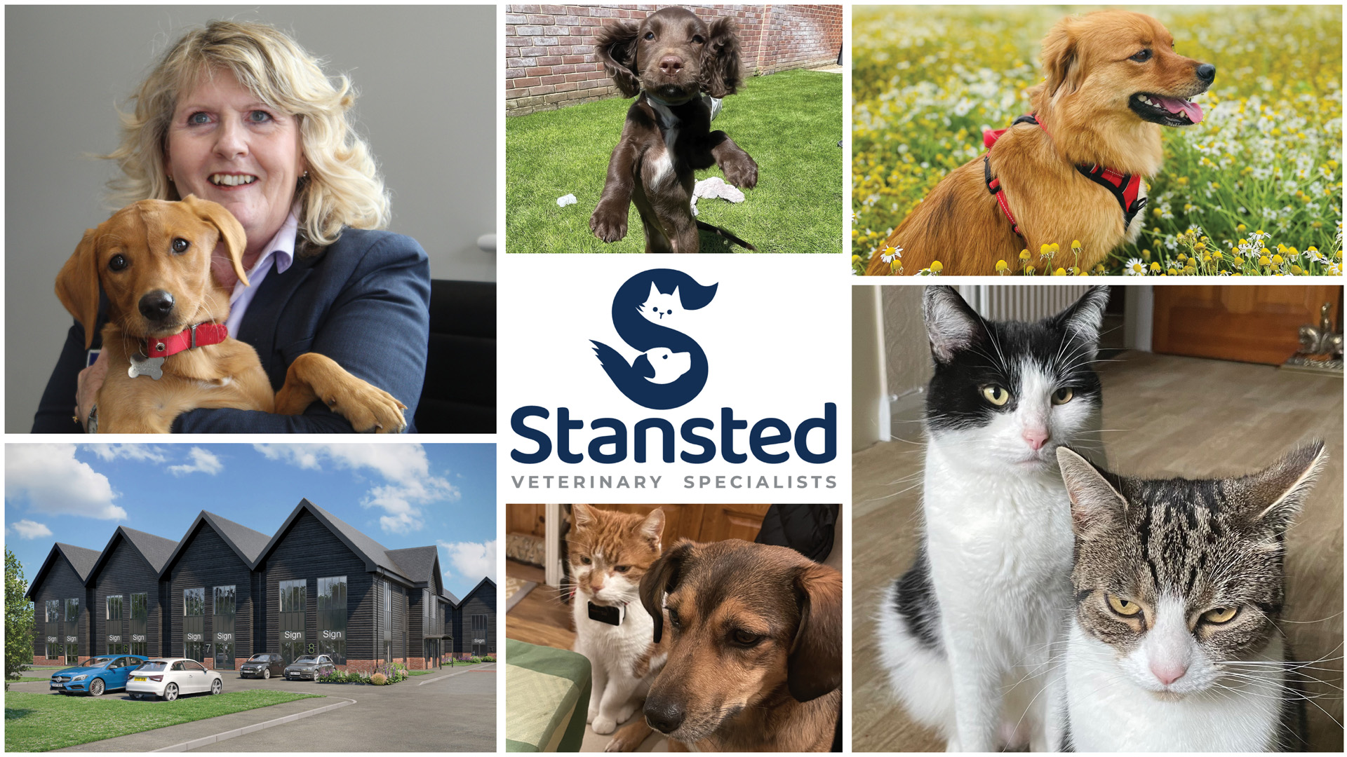 Stansted Courtyard Vets